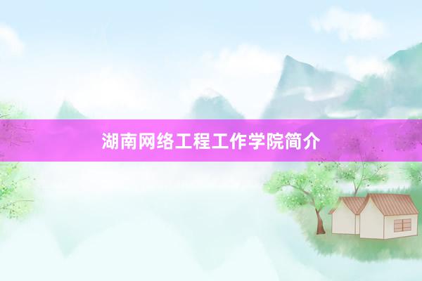 湖南网络工程工作学院简介