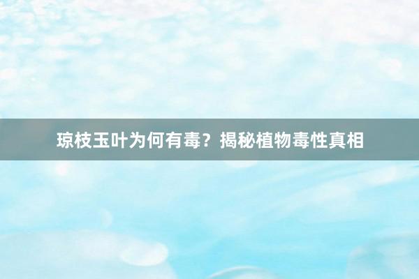 琼枝玉叶为何有毒？揭秘植物毒性真相