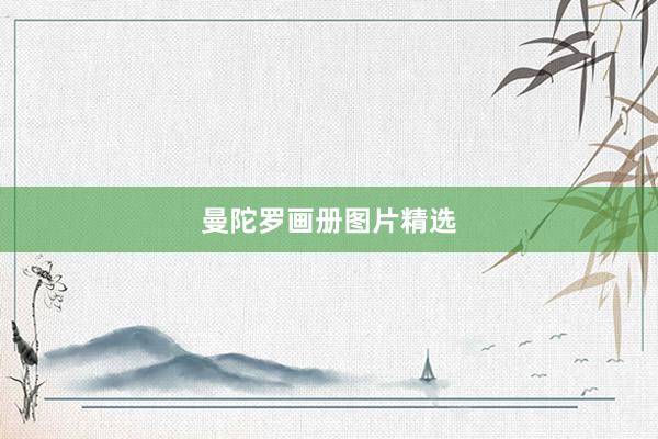 曼陀罗画册图片精选